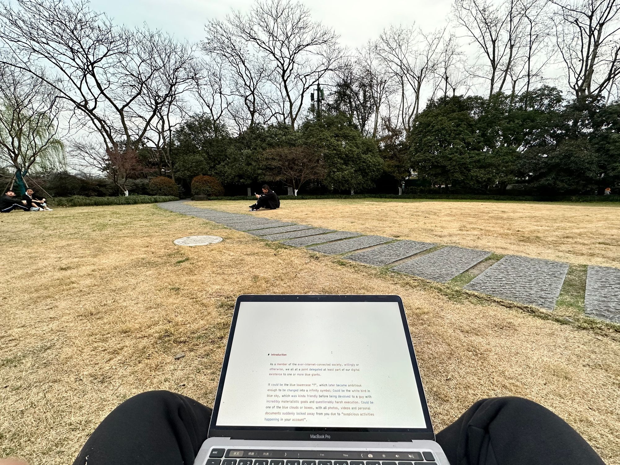 Sitting on a lawn, writing blog posts on my computer.