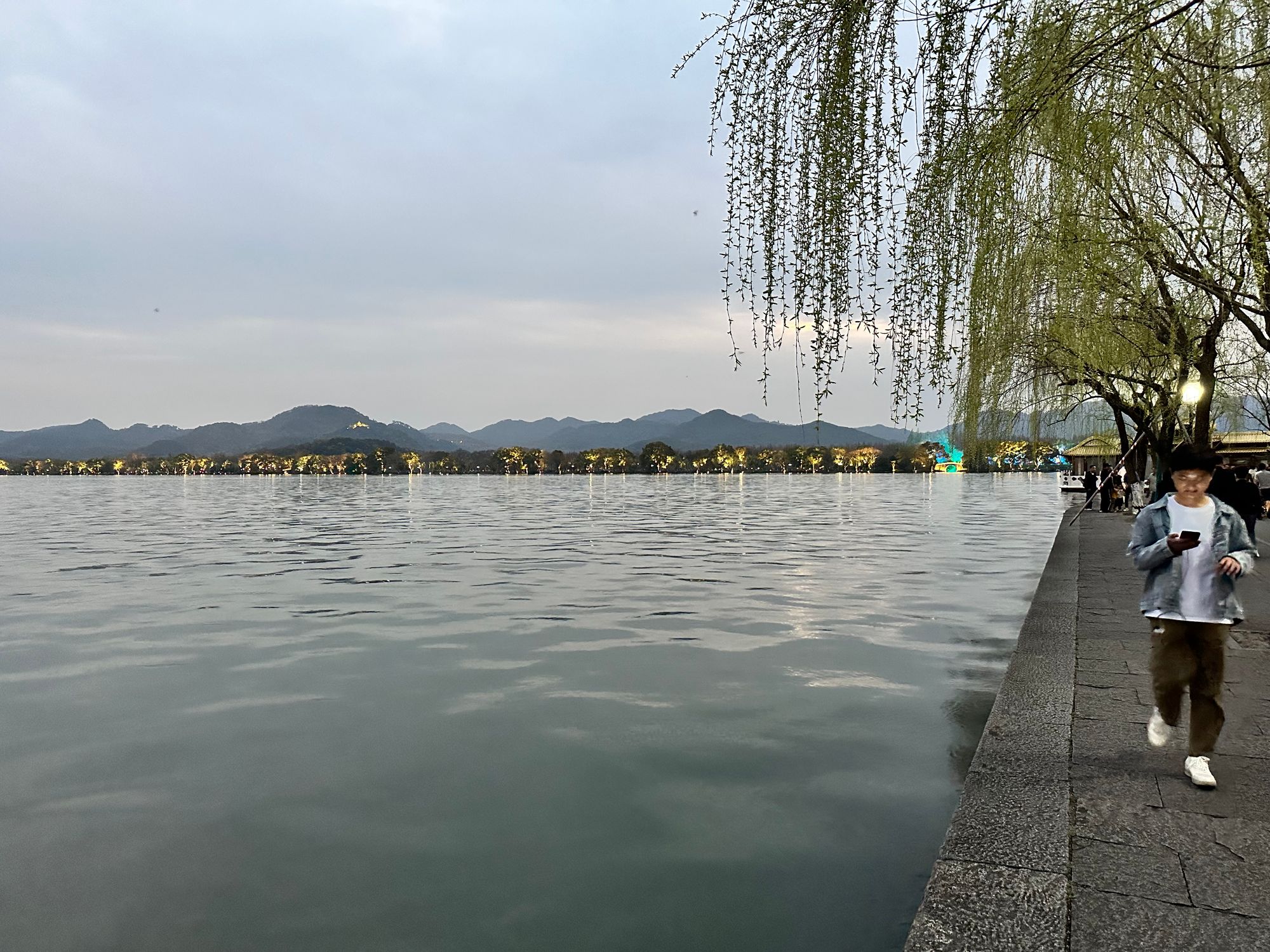 A person walks alongside the West Lake, focusing on his phone.